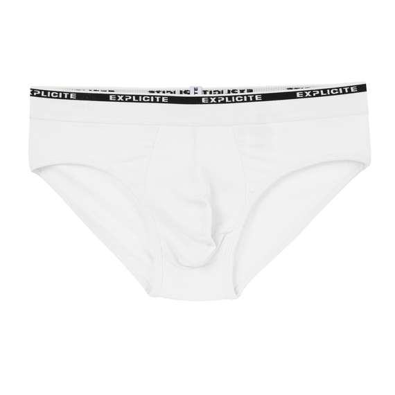 Men's Briefs Pure