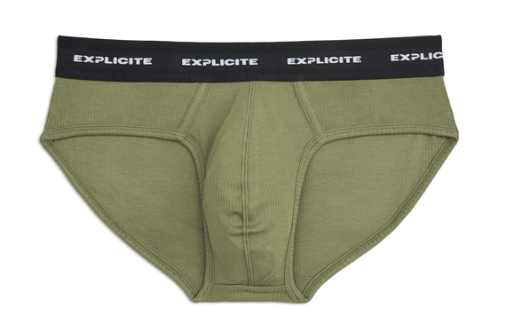 Men's Briefs Cedar II