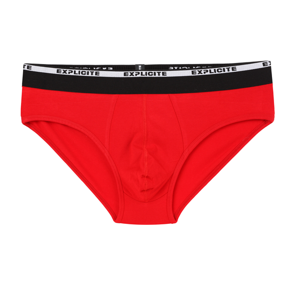 Men's Briefs Blaze